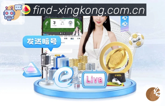 赛事解说与要点提示